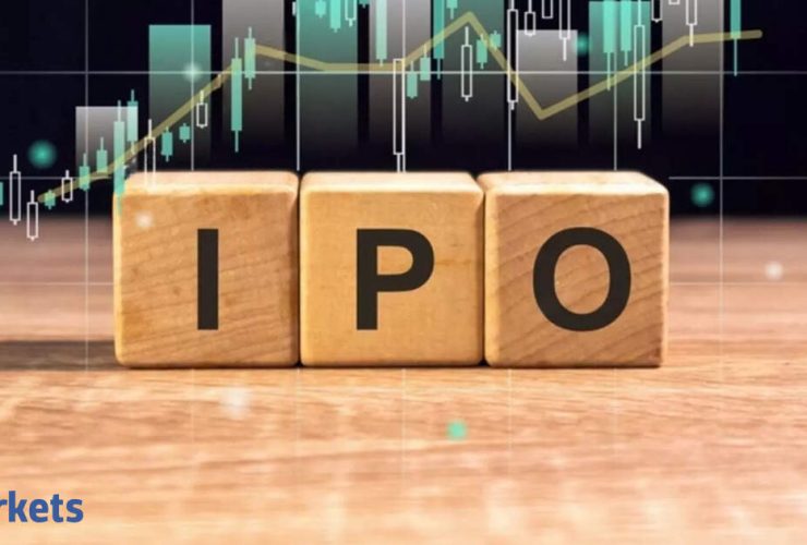 retail investors and IPOs - Retail Investors Grow Cautious on IPOs After Weak Listings