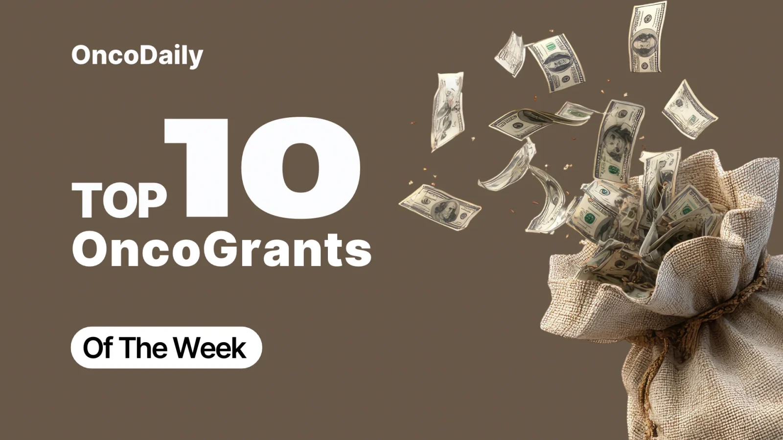 oncology grants - Top 10 Global Oncology Grants and Fellowships for 2026