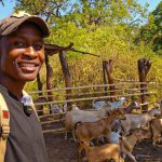 diaspora investment - Diaspora Investment Drives Zimbabwe Real Estate & Farming Growth