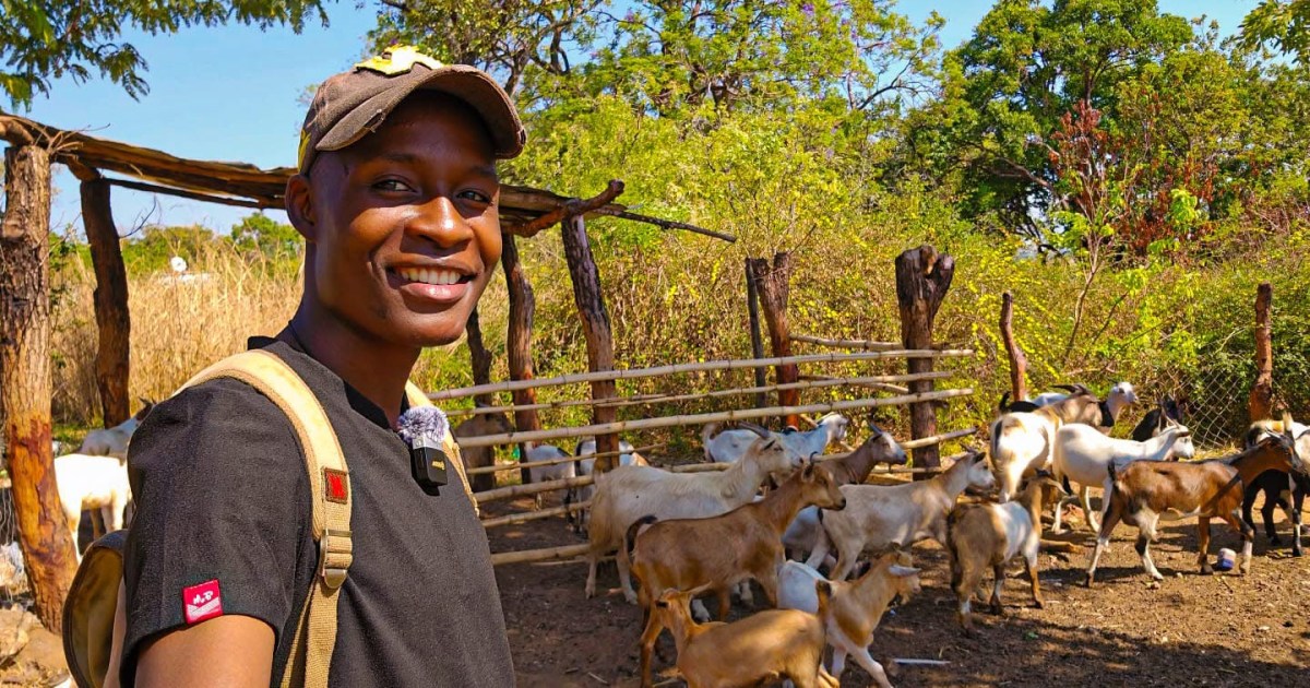 diaspora investment - Diaspora Investment Drives Zimbabwe Real Estate & Farming Growth
