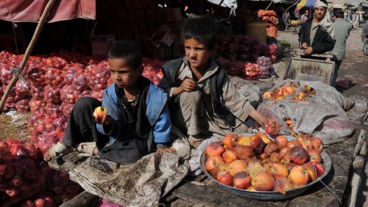 NGO funding - Afghanistan NGO Funding: Lessons on Efficiency & Local Impact